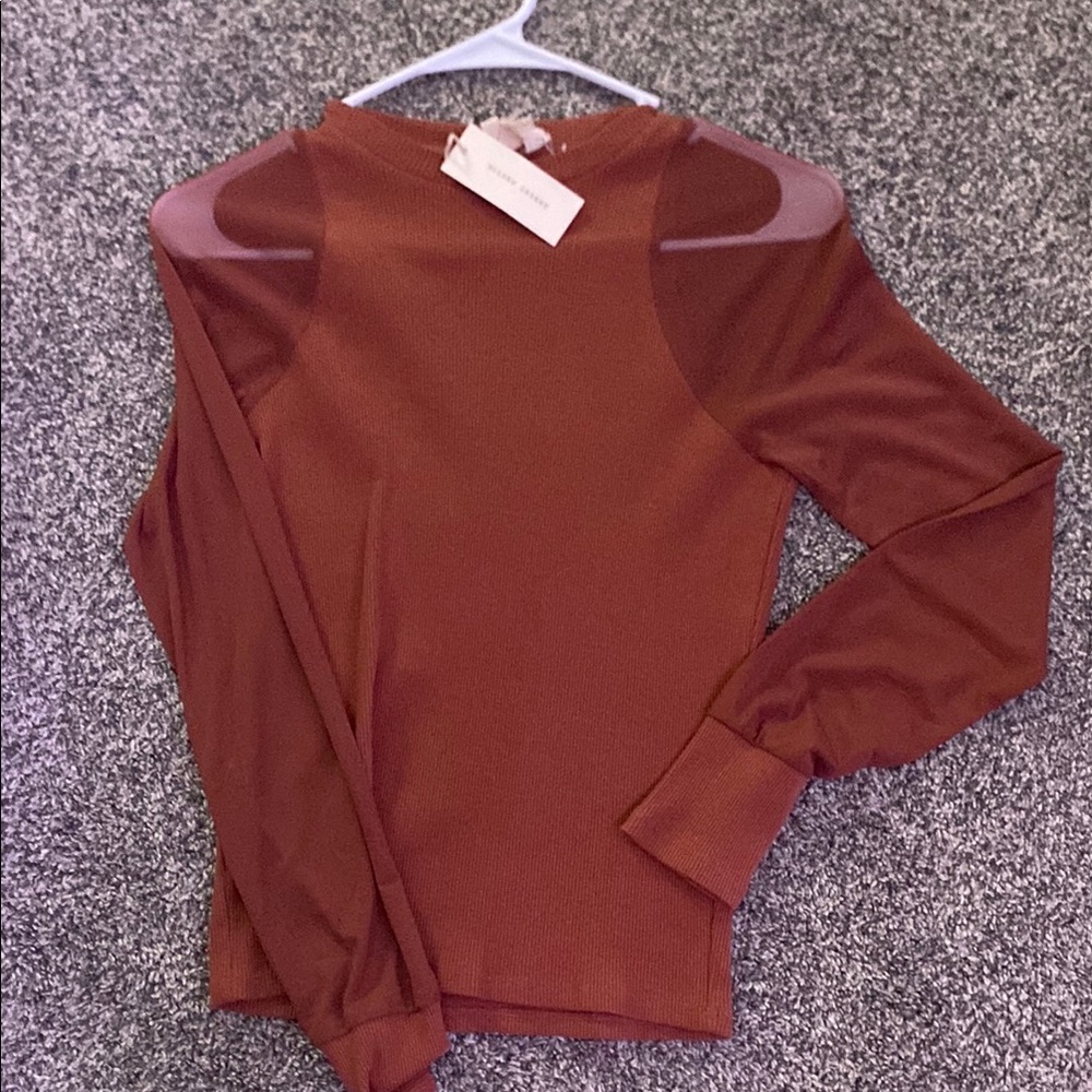 Elegant Brown Mesh Long Sleeve Top